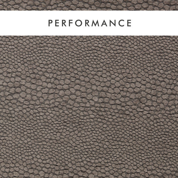 Clarke & Clarke Castus Espresso Fabric by the Metre