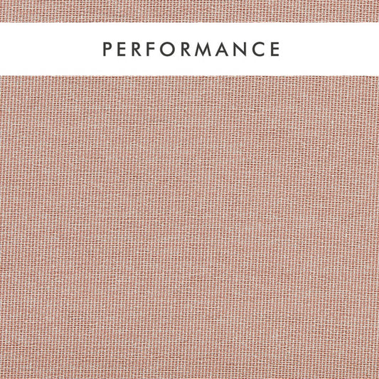 Clarke & Clarke Pontus Blush Fabric by the Metre
