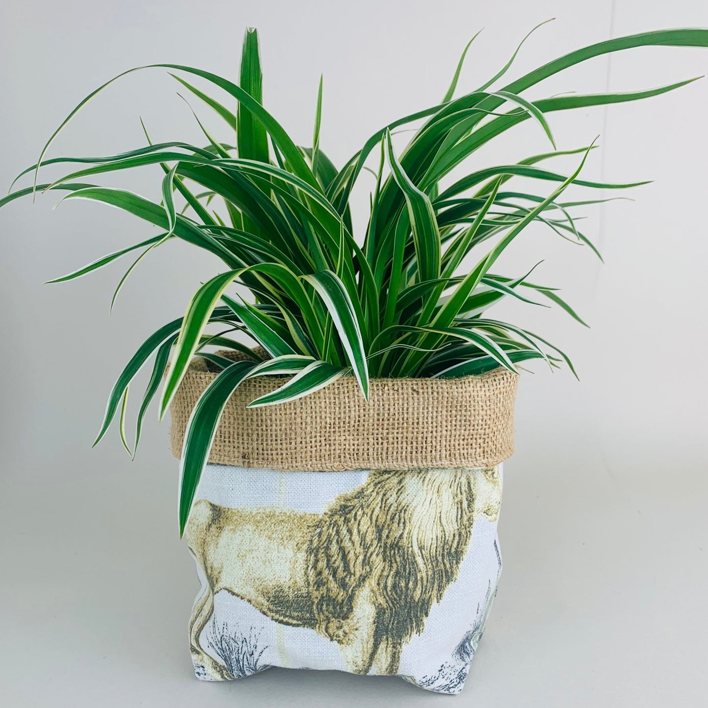 Safari Animal Printed Linen Plant Pot Covers: Boho Style, Multiple Sizes