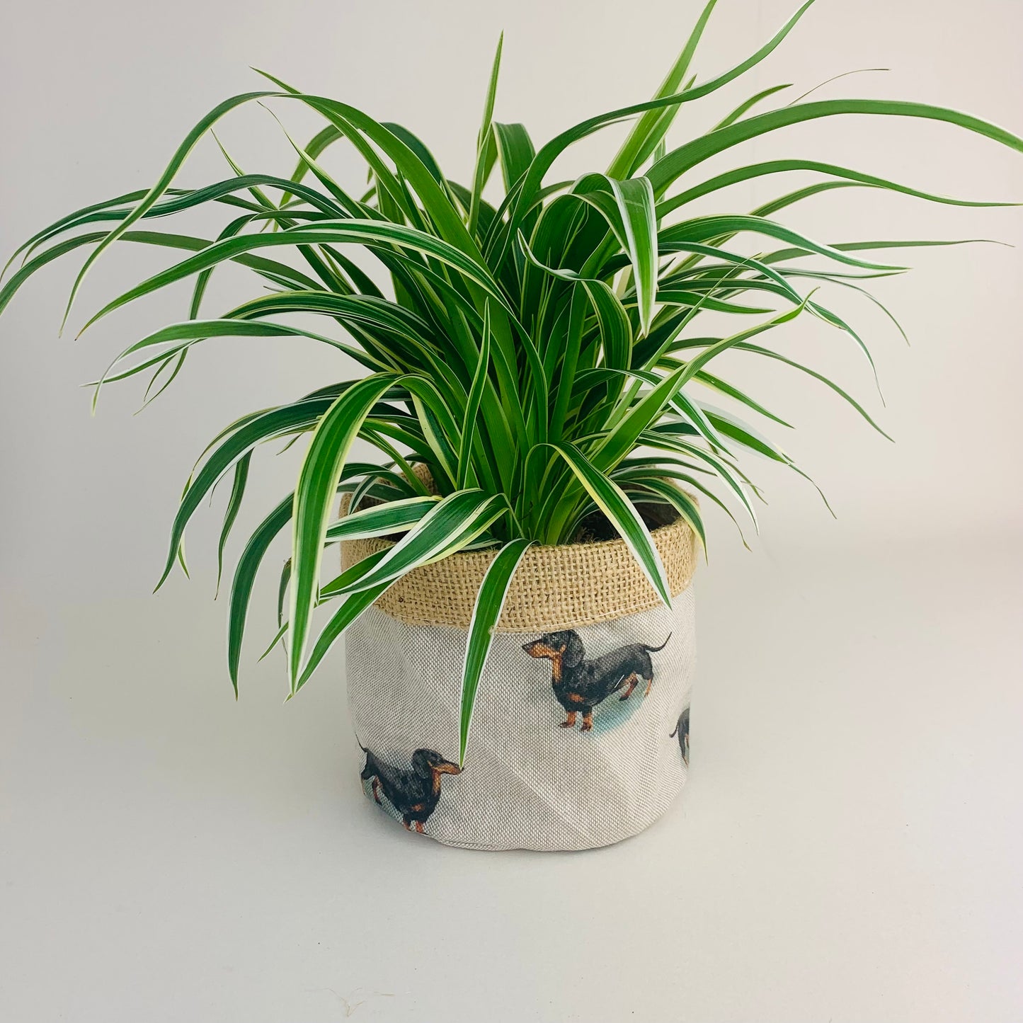 Dachshund Linen Plant Pot Covers: Farmhouse Decor, Multiple Sizes