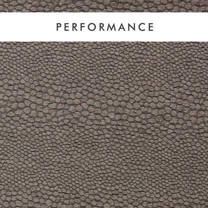 Clarke & Clarke Castus Espresso Fabric by the Metre
