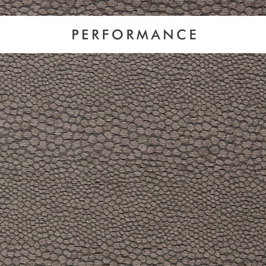 Clarke & Clarke Castus Espresso Fabric by the Metre
