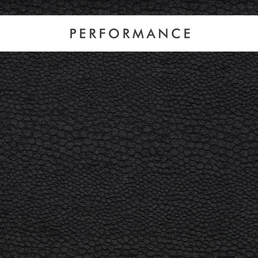 Clarke & Clarke Castus Ebony Fabric by the Metre