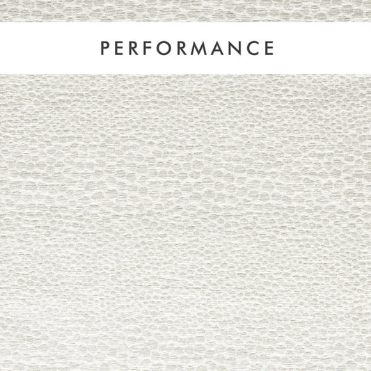 Clarke & Clarke Castus Ivory Fabric by the Metre