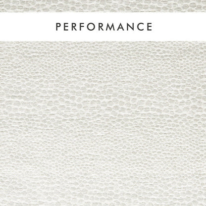 Clarke & Clarke Castus Ivory Roman Blind