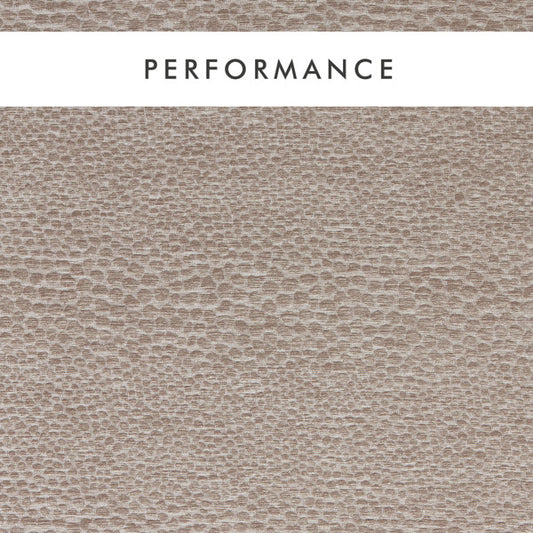 Clarke & Clarke Castus Mink Fabric by the Metre