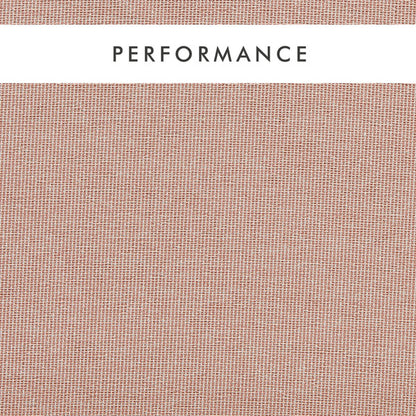 Clarke & Clarke Pontus Blush Fabric by the Metre