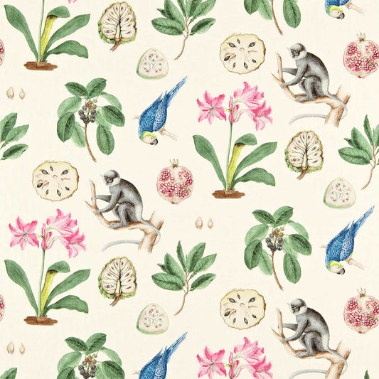 Sanderson Capuchins Chintz Fabric By The Metre