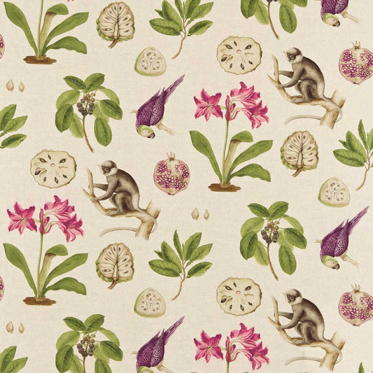 Sanderson Capuchins Boysenberry Fabric By The Metre