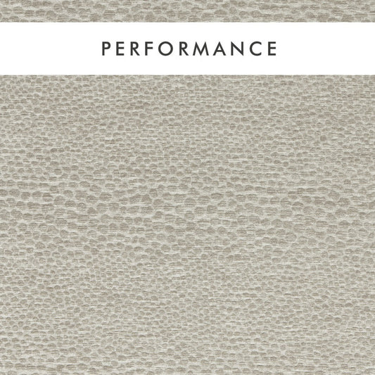 Clarke & Clarke Castus Pebble Fabric by the Metre