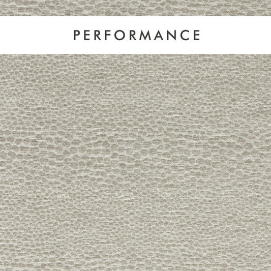 Clarke & Clarke Castus Pebble Roman Blind