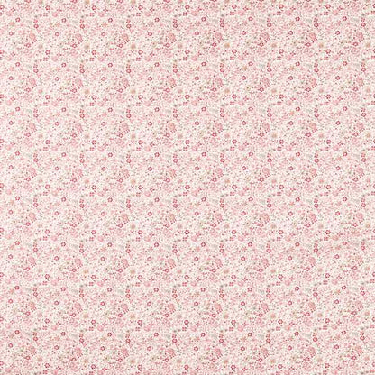 Clarke & Clarke Gamthi Blush Fabric by the Metre