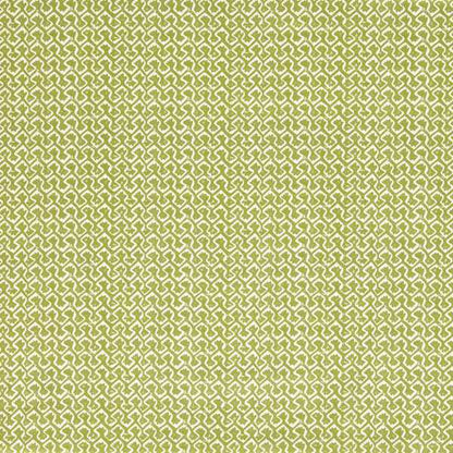 Clarke & Clarke Kalpa Apple Roman Blind