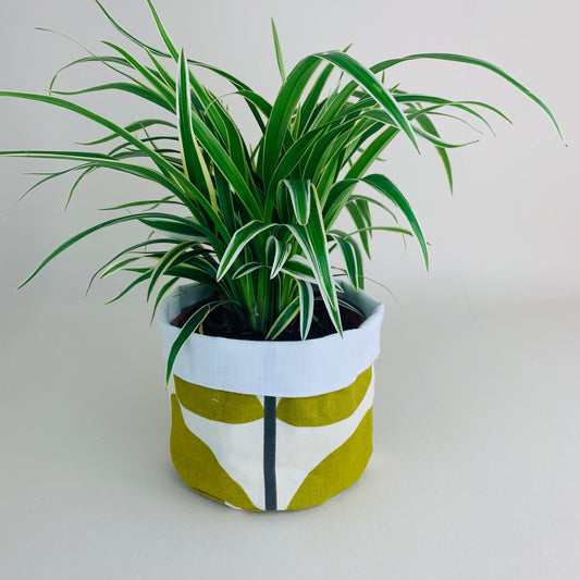 Olive Stem Orla Kiely Plant Pot Covers: Retro Decor, Multiple Sizes