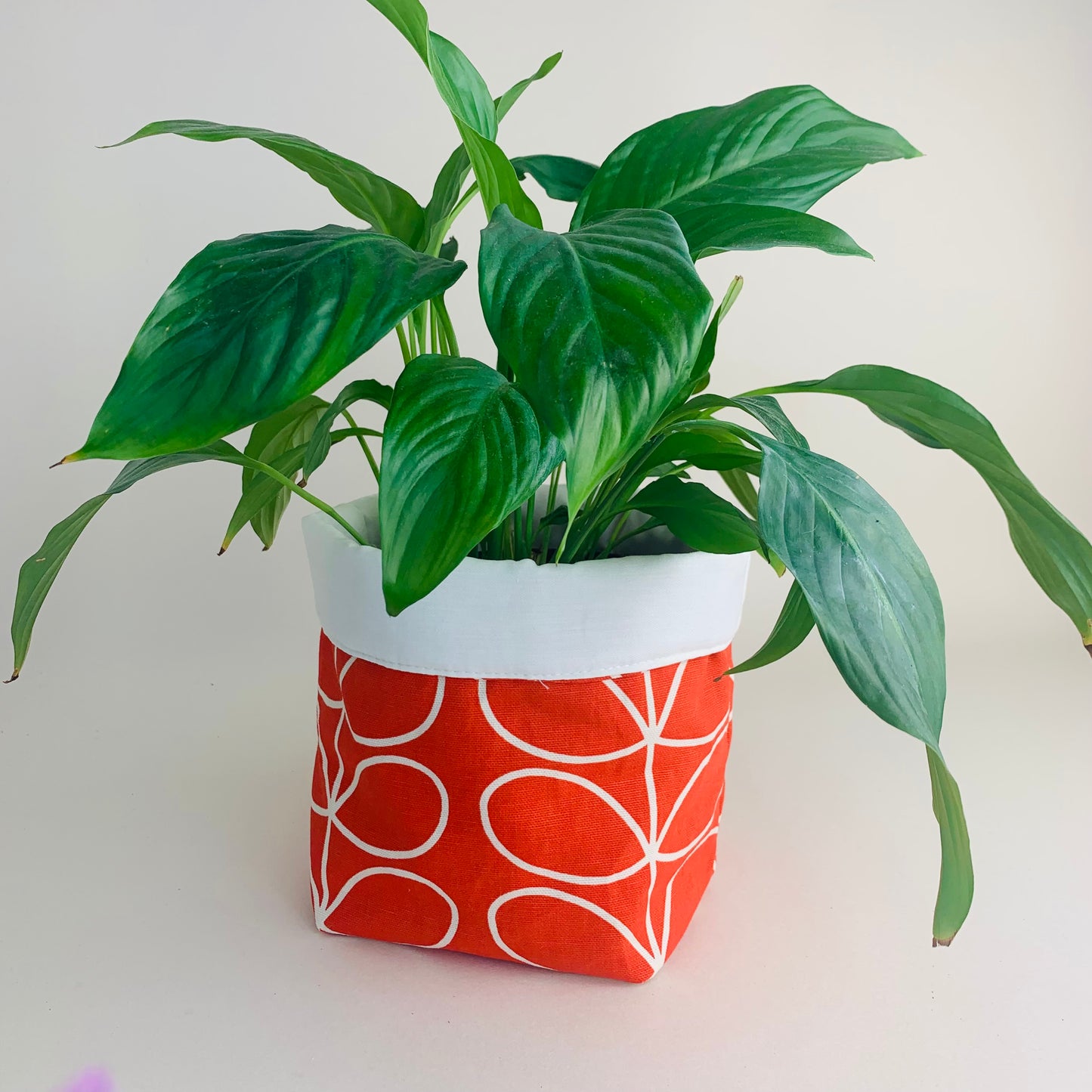 Tomato Red Orla Kiely Plant Pot Covers: Retro Decor, Multiple Sizes