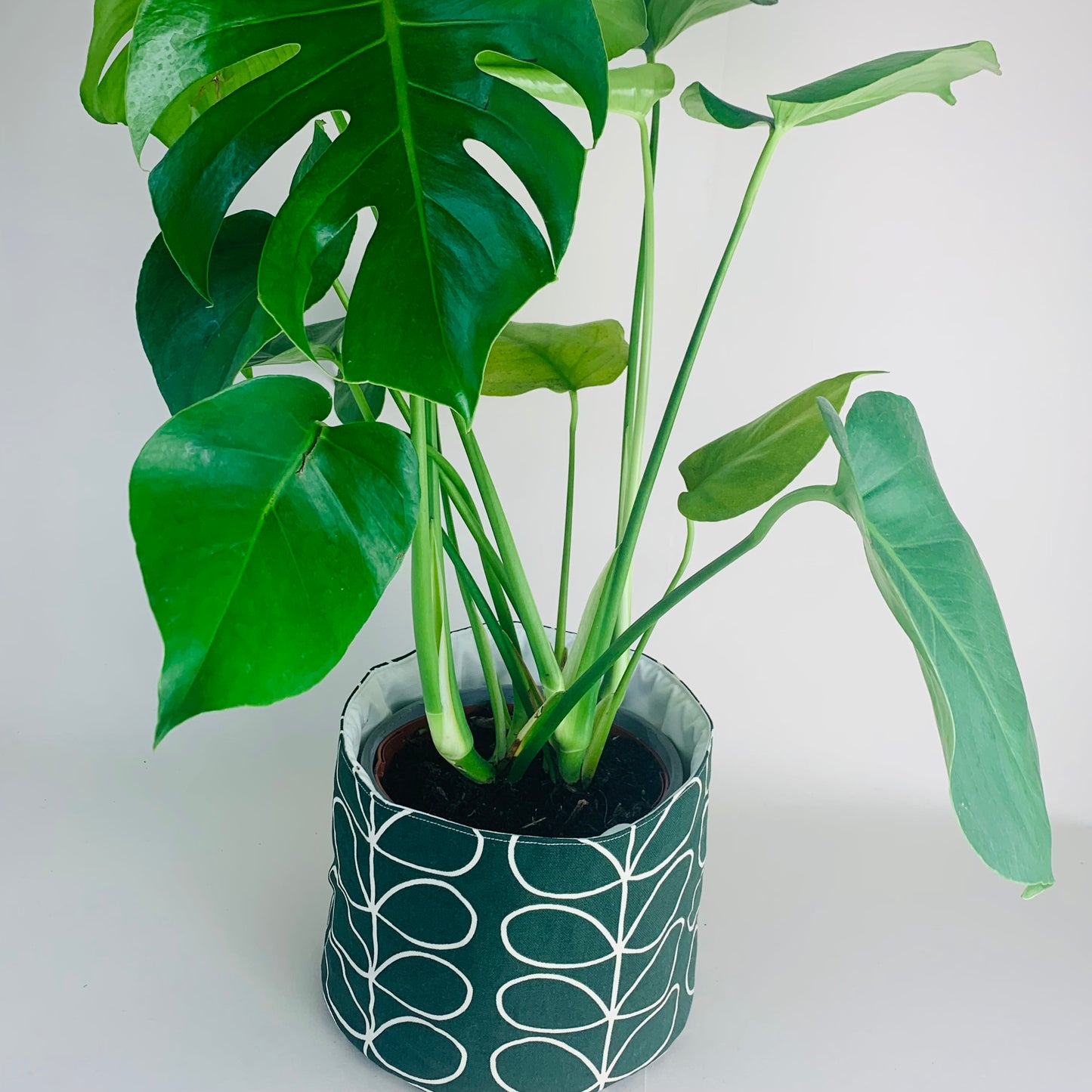 Ever Green Stem Orla Kiely Plant Pot: Retro Decor, Multiple Sizes