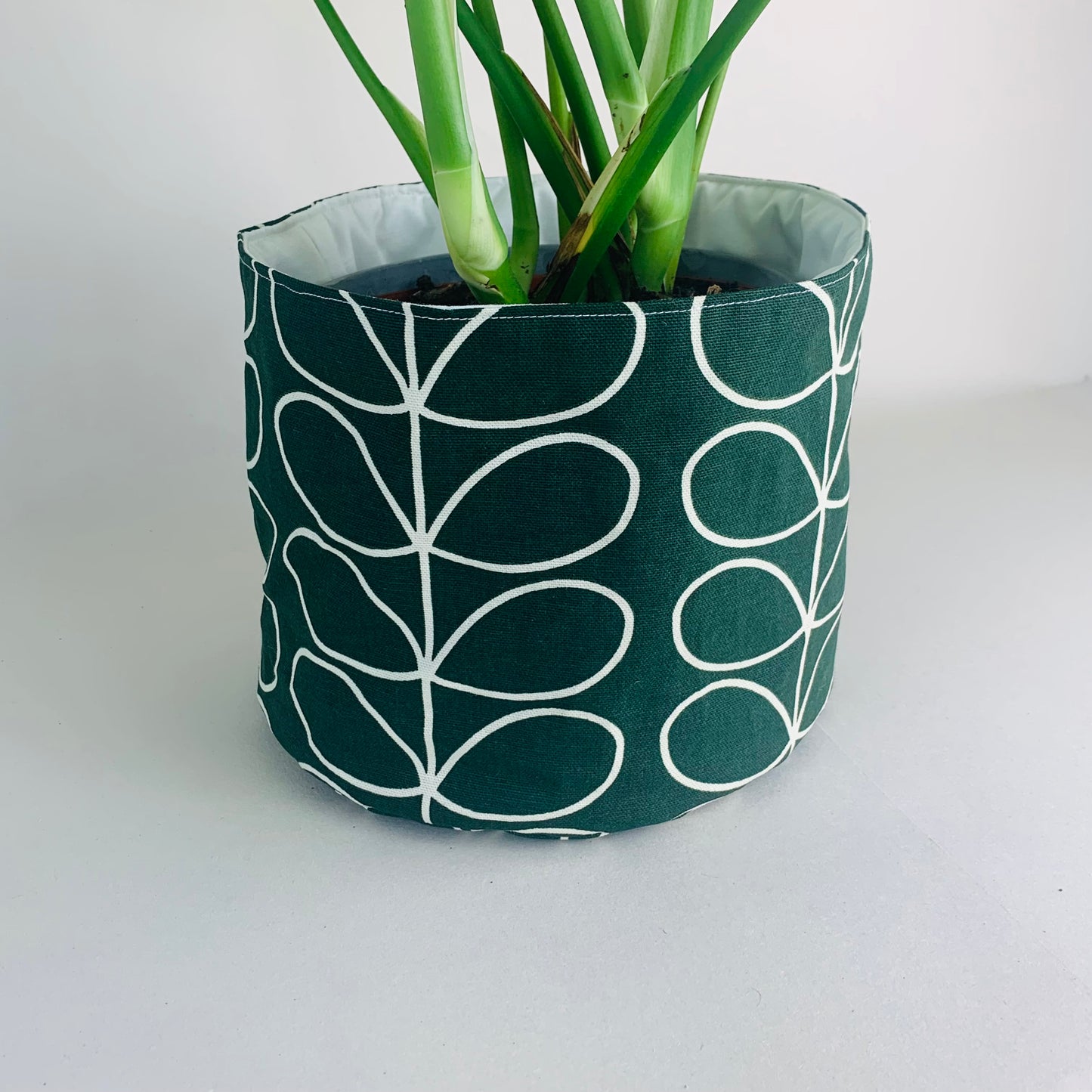 Ever Green Stem Orla Kiely Plant Pot: Retro Decor, Multiple Sizes