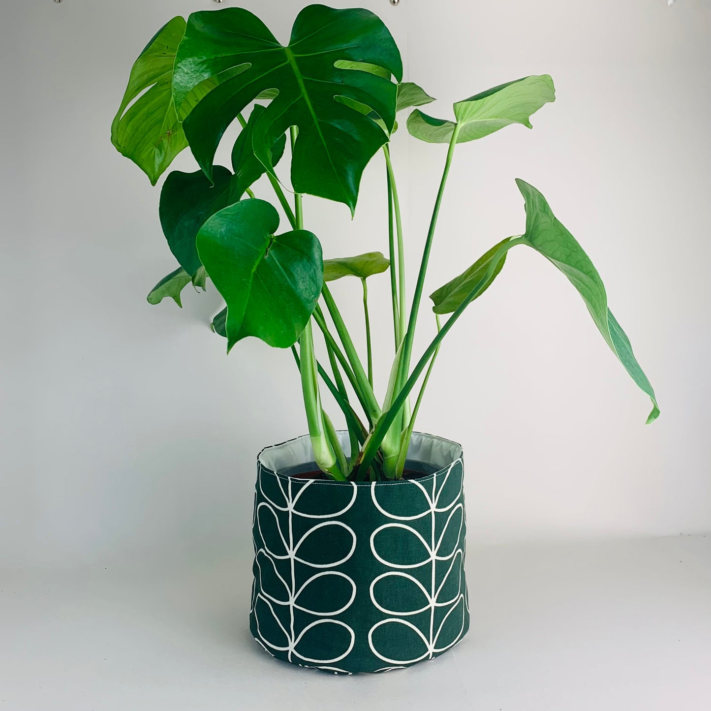 Ever Green Stem Orla Kiely Plant Pot: Retro Decor, Multiple Sizes