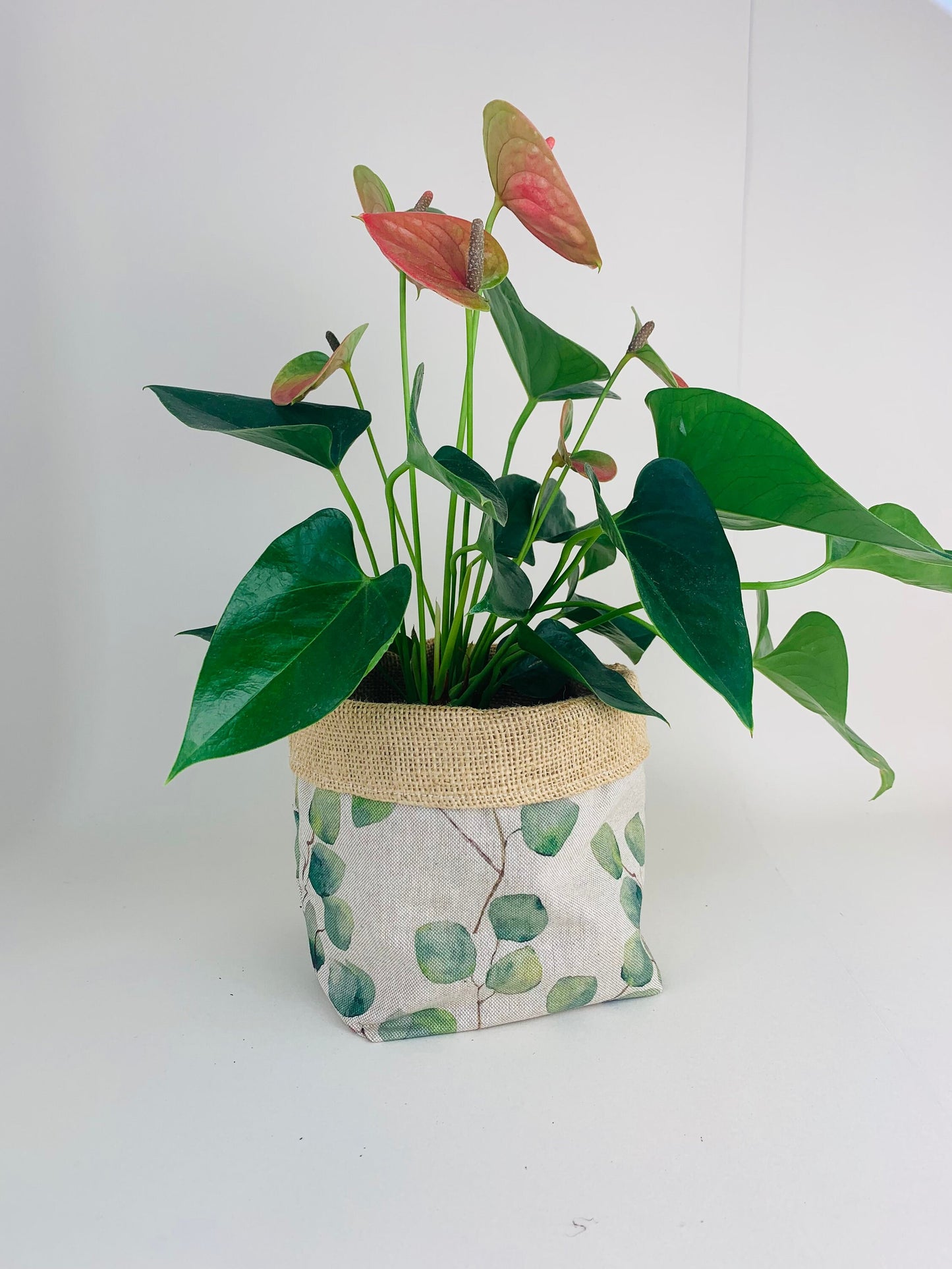 Eucalyptus Printed Linen Plant Pot: Farmhouse Decor, Multiple Sizes