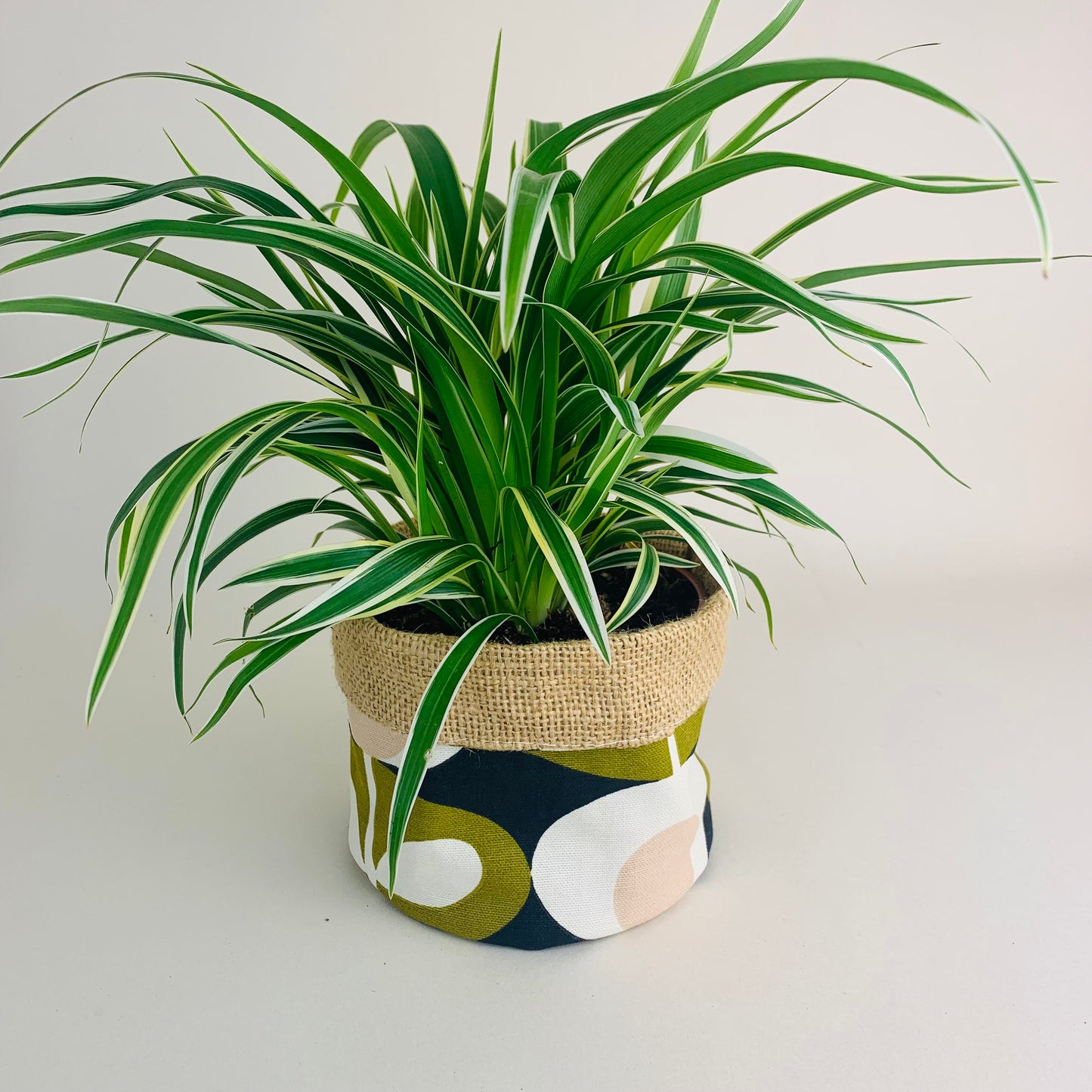 Orla Kiely fabric plant pots and storage baskets in grey and olive, lined with linen or hessian. These versatile containers feature retro-inspired patterns, perfect for adding a stylish touch to your home decor while providing practical storage solutions