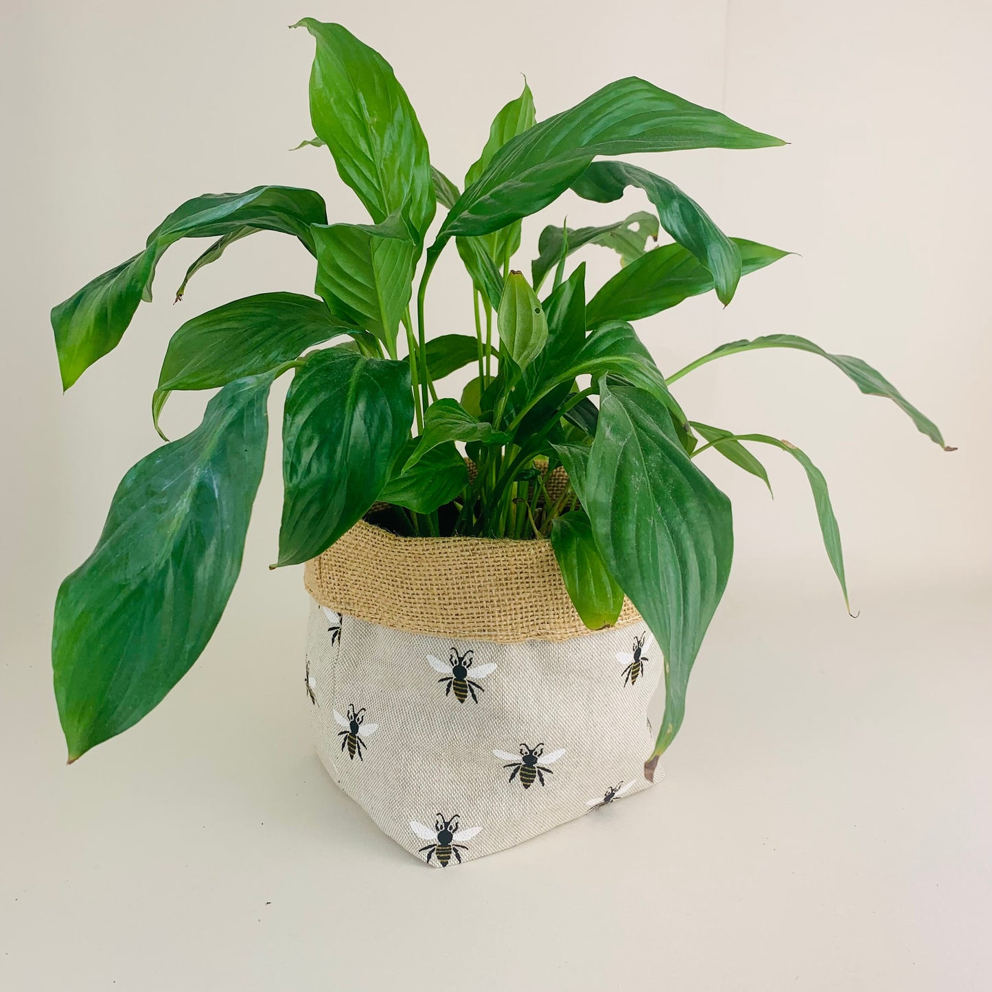 Bumble Bee Print Plant Pot Covers: Boho Style, Multiple Sizes