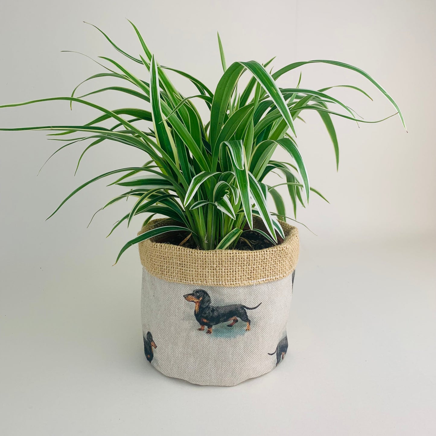 linen plant pot cover Dachshund Linen Plant Pot Covers