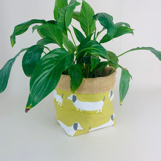 Yellow Dachshund Plant Pot Covers: Farmhouse Decor, Multiple Sizes